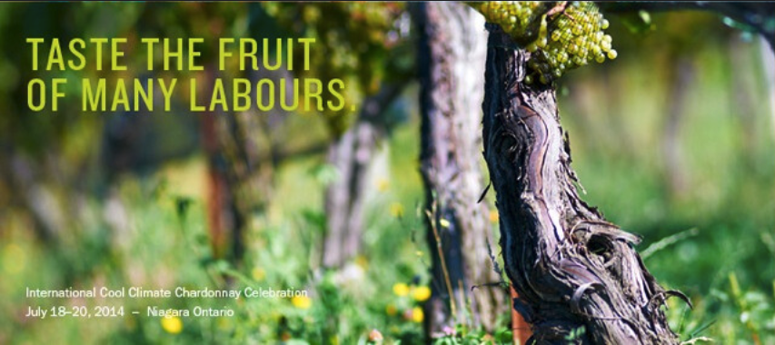 I4C Chardonnay print ad: vineyard and forest