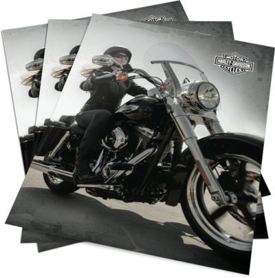 Harley-Davidson Motors Harley-Davidson Motors